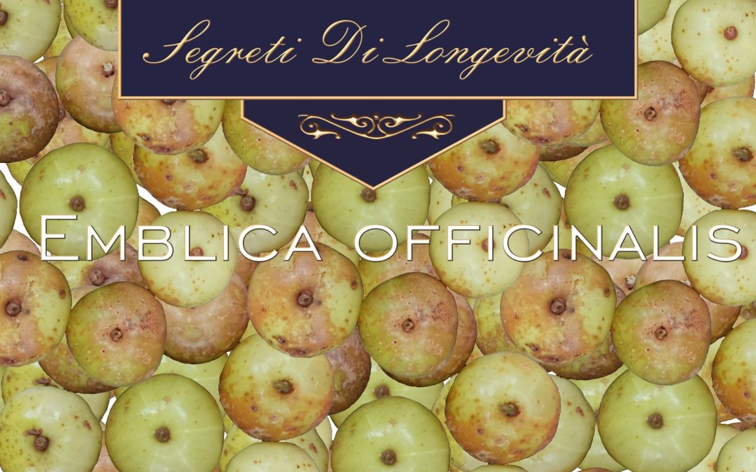 Emblica officinalis